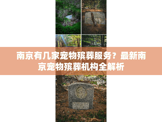 南京有几家宠物殡葬服务？最新南京宠物殡葬机构全解析