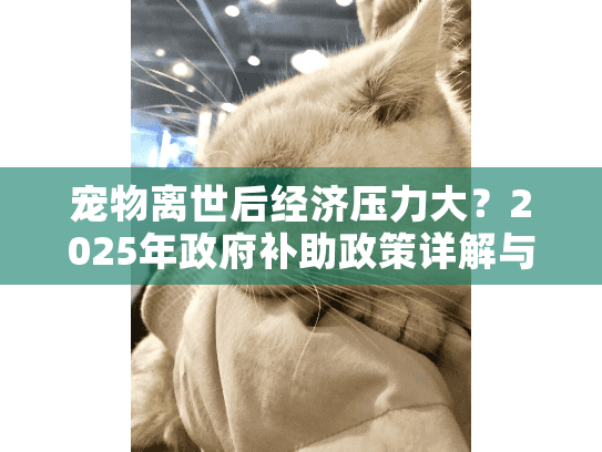宠物离世后经济压力大？2025年政府补助政策详解与申请指南