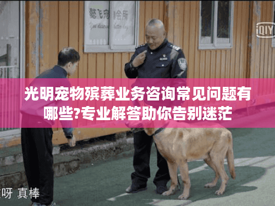 光明宠物殡葬业务咨询常见问题有哪些?专业解答助你告别迷茫