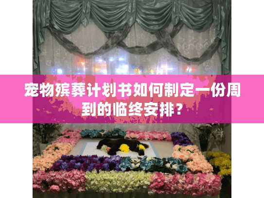 宠物殡葬计划书如何制定一份周到的临终安排？