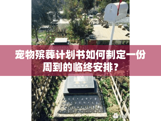 宠物殡葬计划书如何制定一份周到的临终安排？