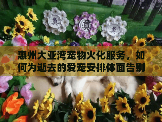 惠州大亚湾宠物火化服务，如何为逝去的爱宠安排体面告别？