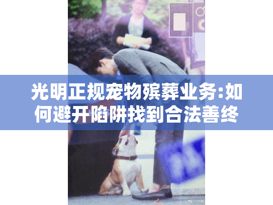 光明正规宠物殡葬业务:如何避开陷阱找到合法善终机构?