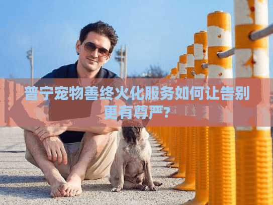 普宁宠物善终火化服务如何让告别更有尊严?