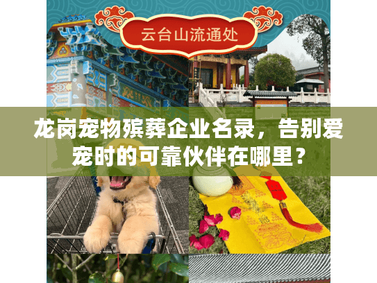 龙岗宠物殡葬企业名录,告别爱宠时的可靠伙伴在哪里?