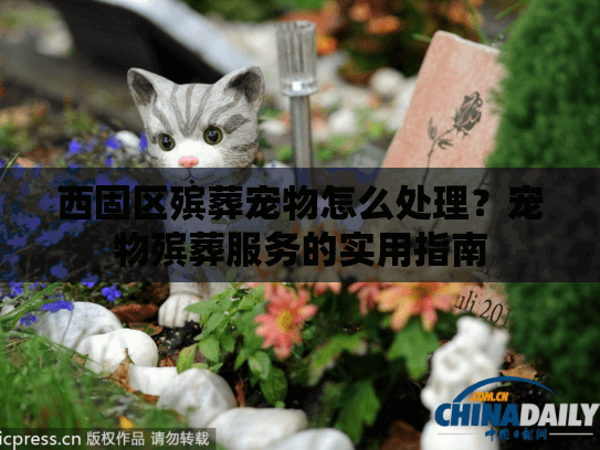 西固区殡葬宠物怎么处理？宠物殡葬服务的实用指南