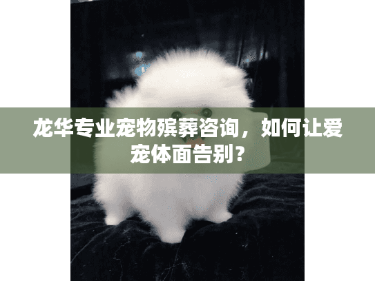 龙华专业宠物殡葬咨询，如何让爱宠体面告别？