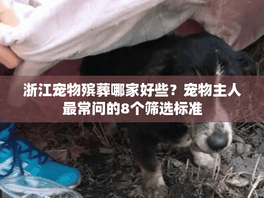 浙江宠物殡葬哪家好些？宠物主人最常问的8个筛选标准