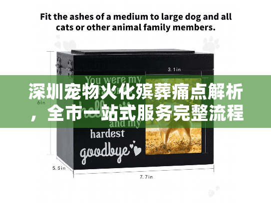 深圳宠物火化殡葬痛点解析，全市一站式服务完整流程指南