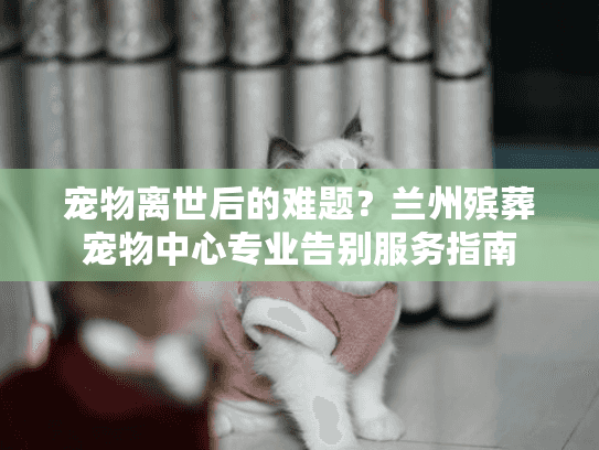 宠物离世后的难题？兰州殡葬宠物中心专业告别服务指南