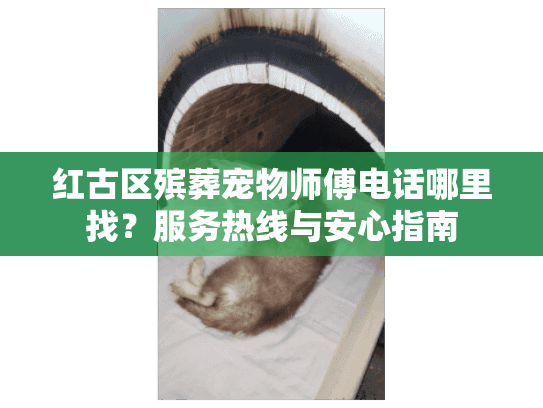 红古区殡葬宠物师傅电话哪里找？服务热线与安心指南