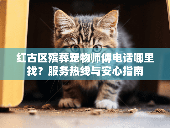 红古区殡葬宠物师傅电话哪里找？服务热线与安心指南