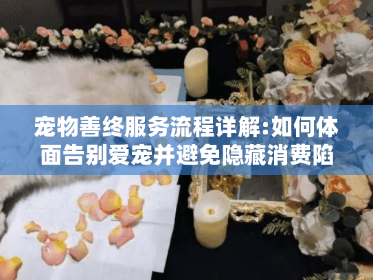 宠物善终服务流程详解:如何体面告别爱宠并避免隐藏消费陷阱?