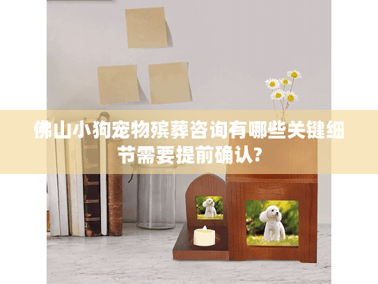 佛山小狗宠物殡葬咨询有哪些关键细节需要提前确认?