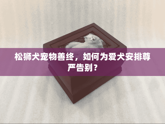 松狮犬宠物善终，如何为爱犬安排尊严告别？