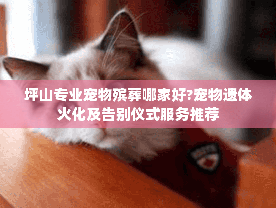 坪山专业宠物殡葬哪家好?宠物遗体火化及告别仪式服务推荐