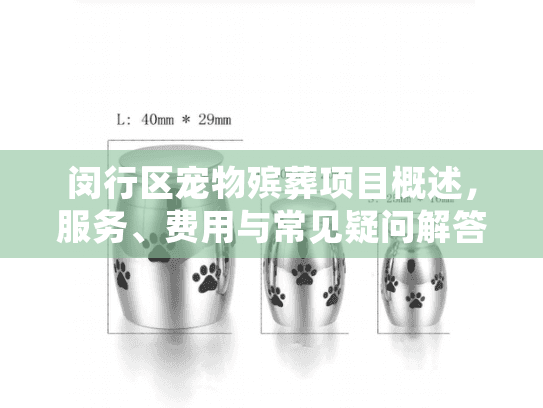 闵行区宠物殡葬项目概述，服务、费用与常见疑问解答