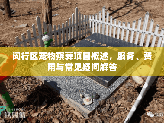闵行区宠物殡葬项目概述，服务、费用与常见疑问解答