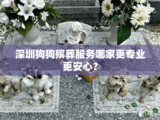 深圳狗狗殡葬服务哪家更专业更安心？