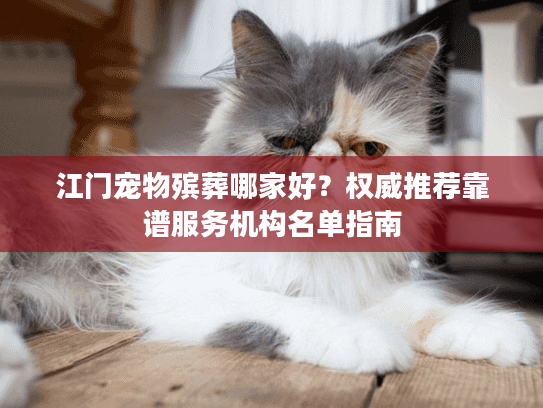 江门宠物殡葬哪家好？权威推荐靠谱服务机构名单指南