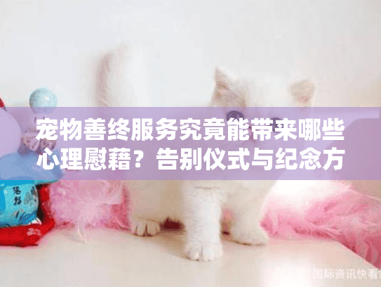 宠物善终服务究竟能带来哪些心理慰藉？告别仪式与纪念方案全解析