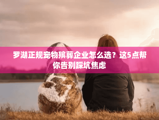 罗湖正规宠物殡葬企业怎么选？这5点帮你告别踩坑焦虑