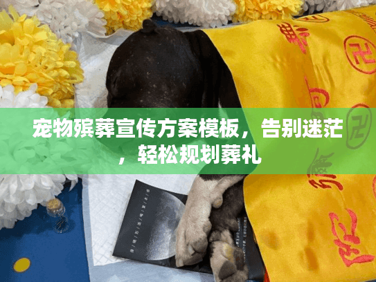 宠物殡葬宣传方案模板，告别迷茫，轻松规划葬礼