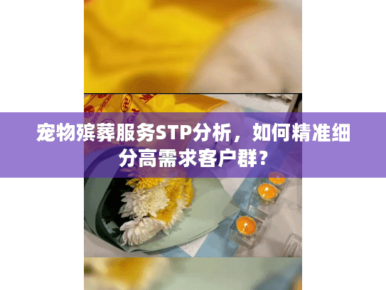 宠物殡葬服务STP分析，如何精准细分高需求客户群？