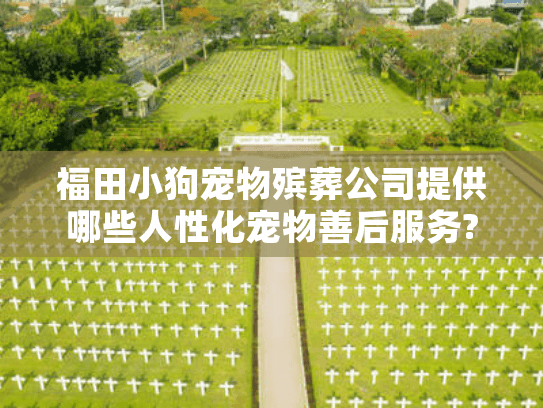 福田小狗宠物殡葬公司提供哪些人性化宠物善后服务?