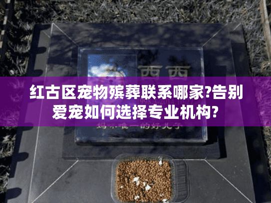 红古区宠物殡葬联系哪家?告别爱宠如何选择专业机构?