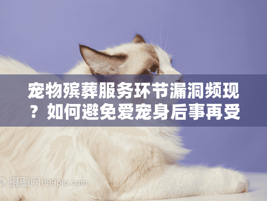 宠物殡葬服务环节漏洞频现？如何避免爱宠身后事再受伤害