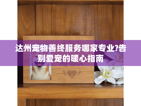 达州宠物善终服务哪家专业?告别爱宠的暖心指南