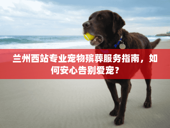 兰州西站专业宠物殡葬服务指南，如何安心告别爱宠？