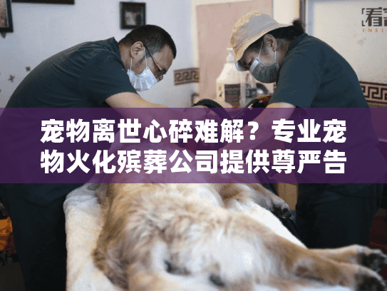 宠物离世心碎难解？专业宠物火化殡葬公司提供尊严告别服务