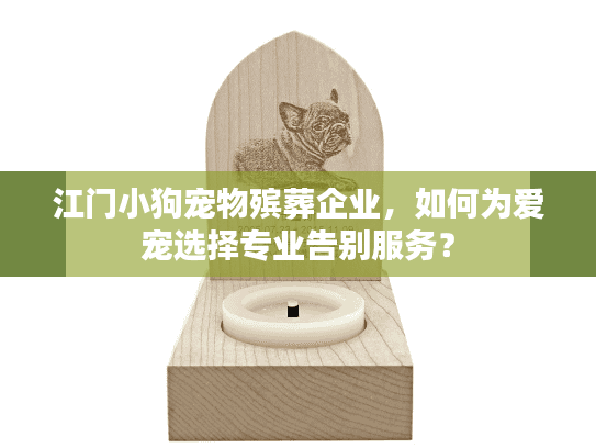 江门小狗宠物殡葬企业，如何为爱宠选择专业告别服务？
