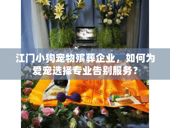 江门小狗宠物殡葬企业，如何为爱宠选择专业告别服务？