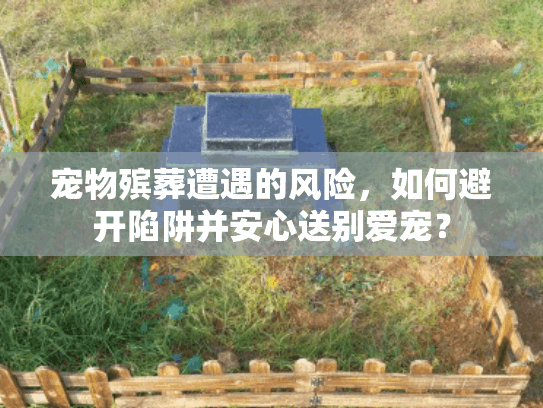 宠物殡葬遭遇的风险，如何避开陷阱并安心送别爱宠？