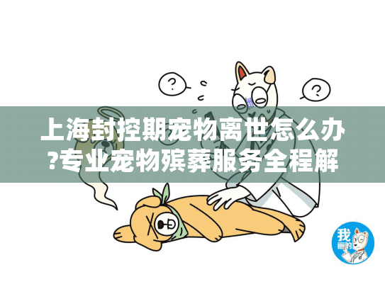 上海封控期宠物离世怎么办?专业宠物殡葬服务全程解决方案