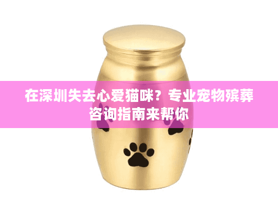 在深圳失去心爱猫咪？专业宠物殡葬咨询指南来帮你