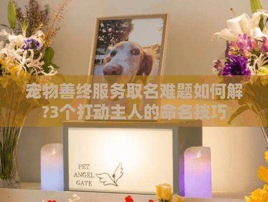 宠物善终服务取名难题如何解?3个打动主人的命名技巧