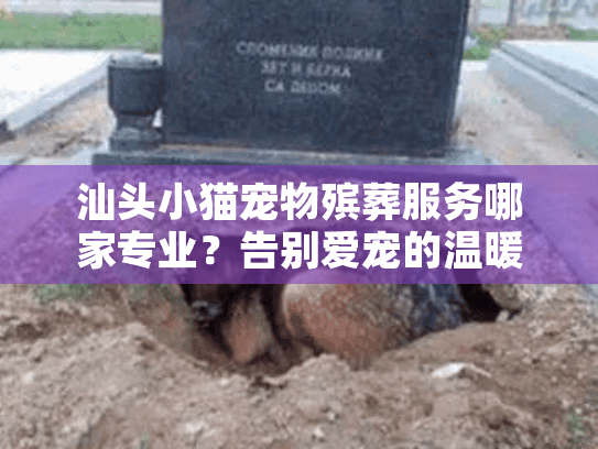 汕头小猫宠物殡葬服务哪家专业？告别爱宠的温暖指南