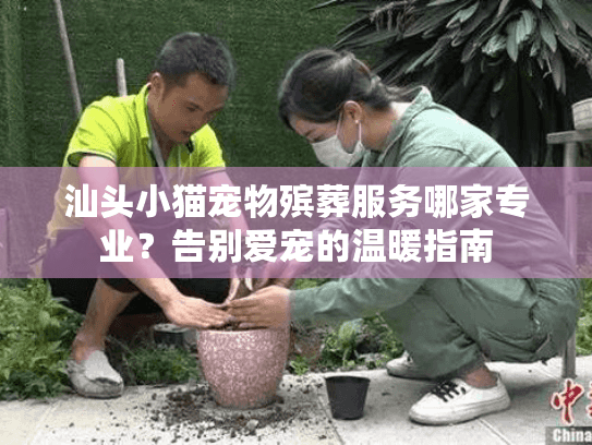 汕头小猫宠物殡葬服务哪家专业？告别爱宠的温暖指南