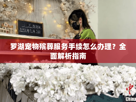 罗湖宠物殡葬服务手续怎么办理？全面解析指南