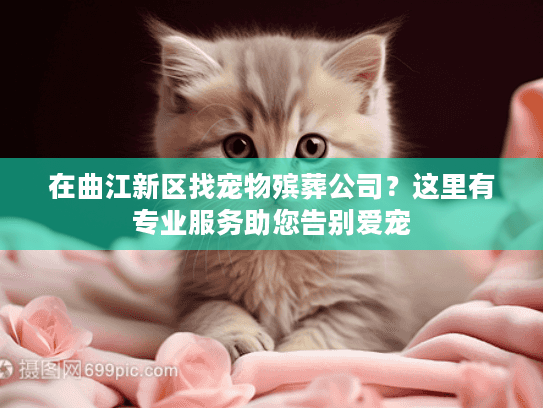 在曲江新区找宠物殡葬公司？这里有专业服务助您告别爱宠