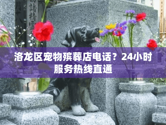 洛龙区宠物殡葬店电话？24小时服务热线直通