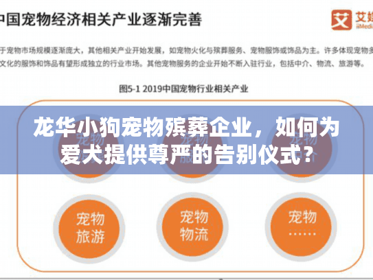 龙华小狗宠物殡葬企业,如何为爱犬提供尊严的告别仪式?