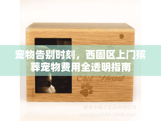 宠物告别时刻，西固区上门殡葬宠物费用全透明指南