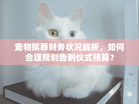 宠物殡葬财务状况解析，如何合理规划告别仪式预算？