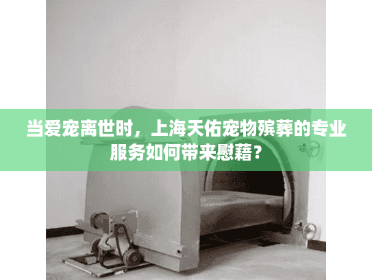 当爱宠离世时，上海天佑宠物殡葬的专业服务如何带来慰藉？