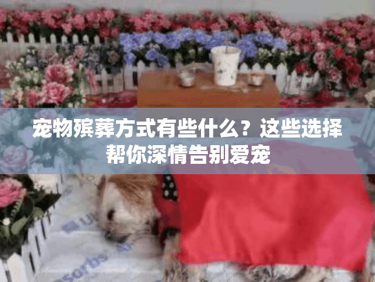 宠物殡葬方式有些什么？这些选择帮你深情告别爱宠